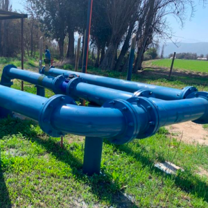 Agrícola Montolín - Llay Llay