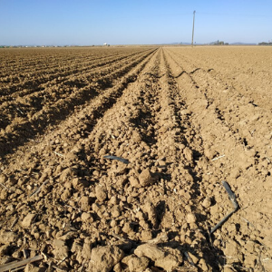 La guerra del agua: las graves secuelas de la crisis hídrica en Chile.